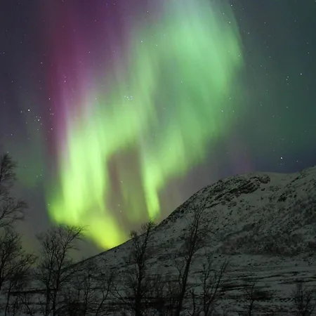 Daire 8 Person In Molnarodden Sund (Nordland)