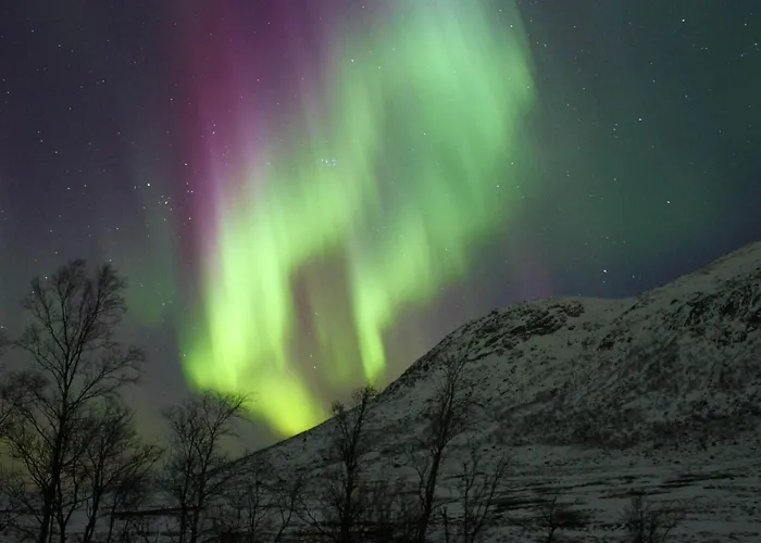 Daire 8 Person In Molnarodden Sund (Nordland)